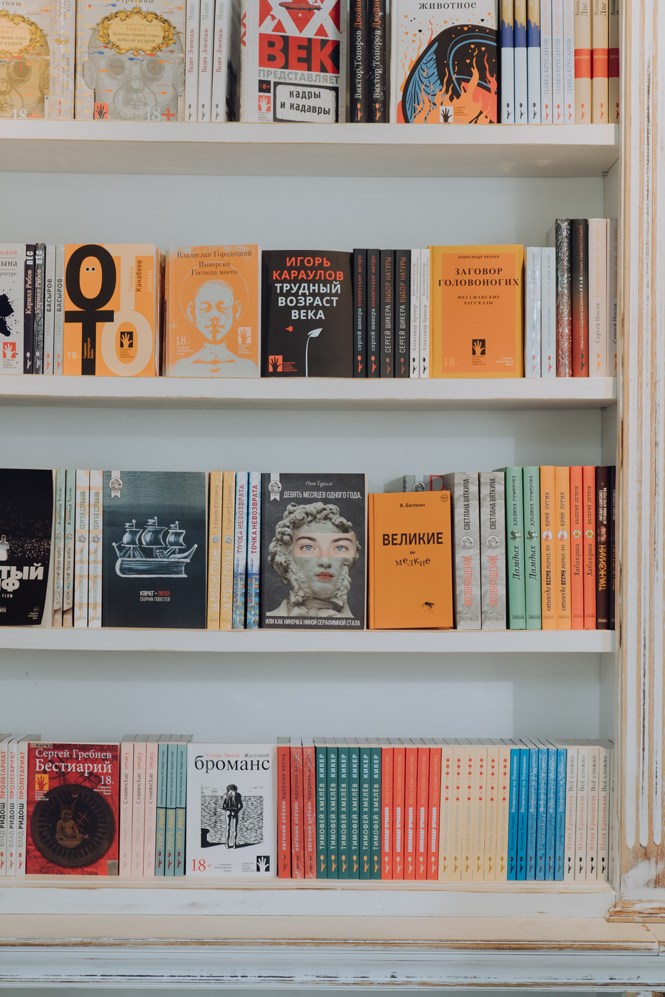 White Wooden Book Shelf With Books